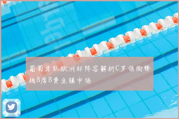 葡萄牙队欧洲杯阵容解析C罗领衔锋线B席B费坐镇中场