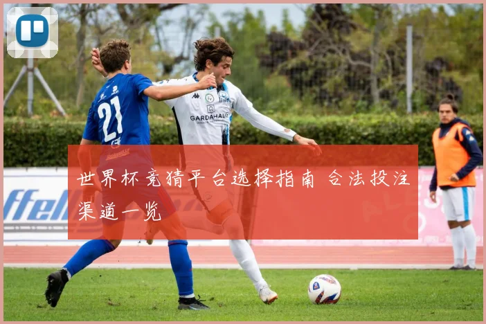 世界杯竞猜平台选择指南 合法投注渠道一览