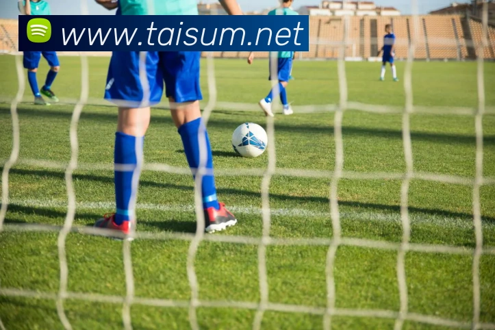 大阳城集团资料大全全站App